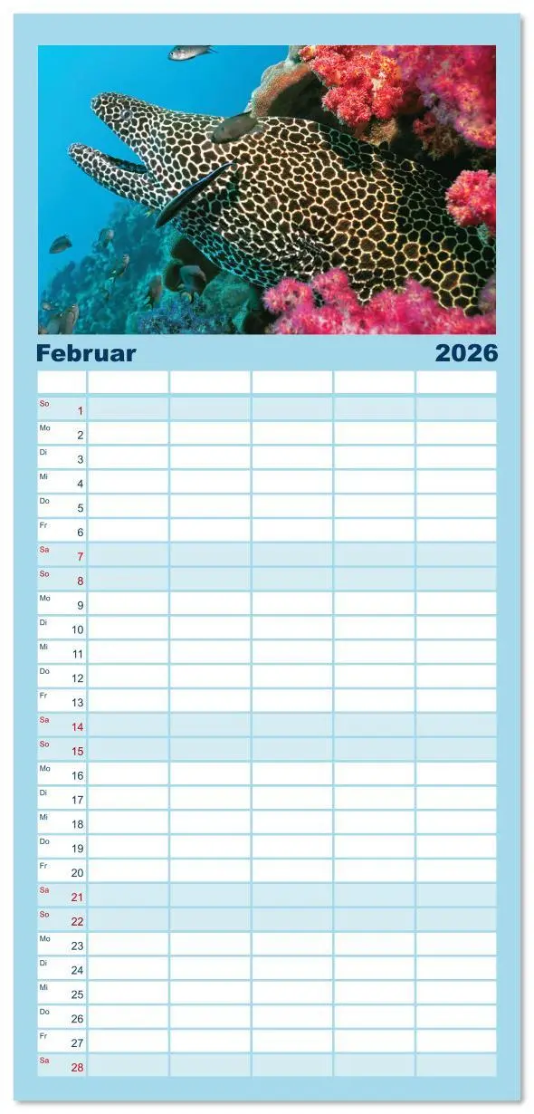 Bild: 9783516623161 | Familienplaner 2026 - Planet Wasser: Von wegen Planet Erde mit 5...