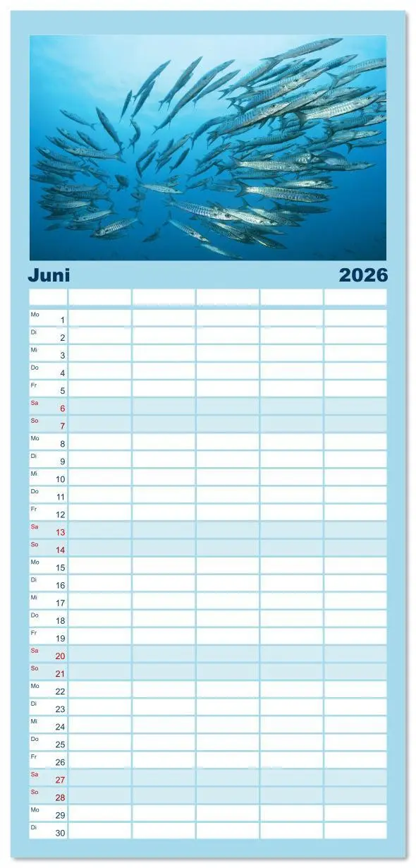 Bild: 9783516623161 | Familienplaner 2026 - Planet Wasser: Von wegen Planet Erde mit 5...
