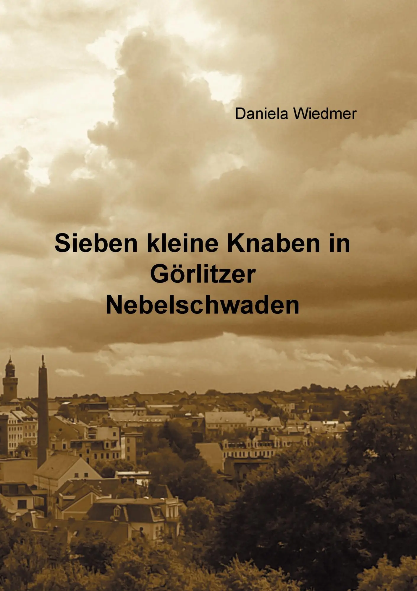 Cover: 9783738623161 | Sieben kleine Knaben in Görlitzer Nebelschwaden | Daniela Wiedmer