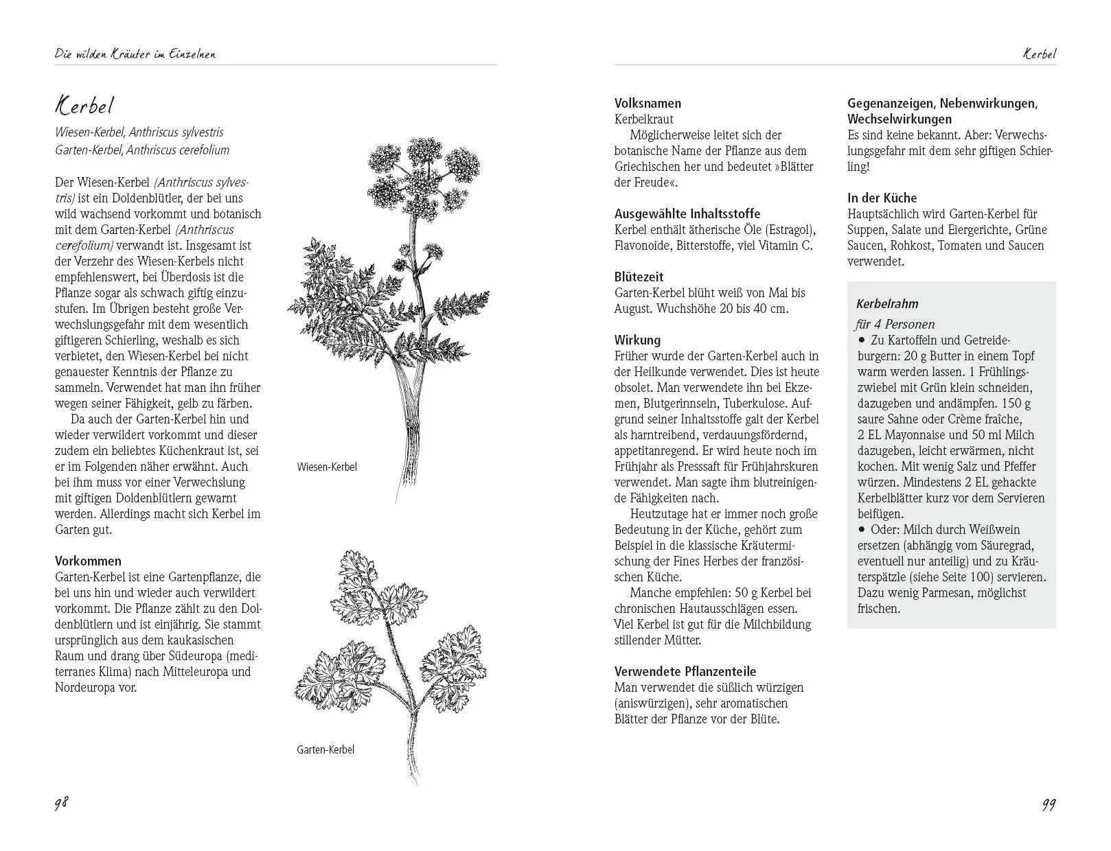 Bild: 9783895663161 | Aus dem Reich der wilden Kräuter | Christina Mann (u. a.) | Buch