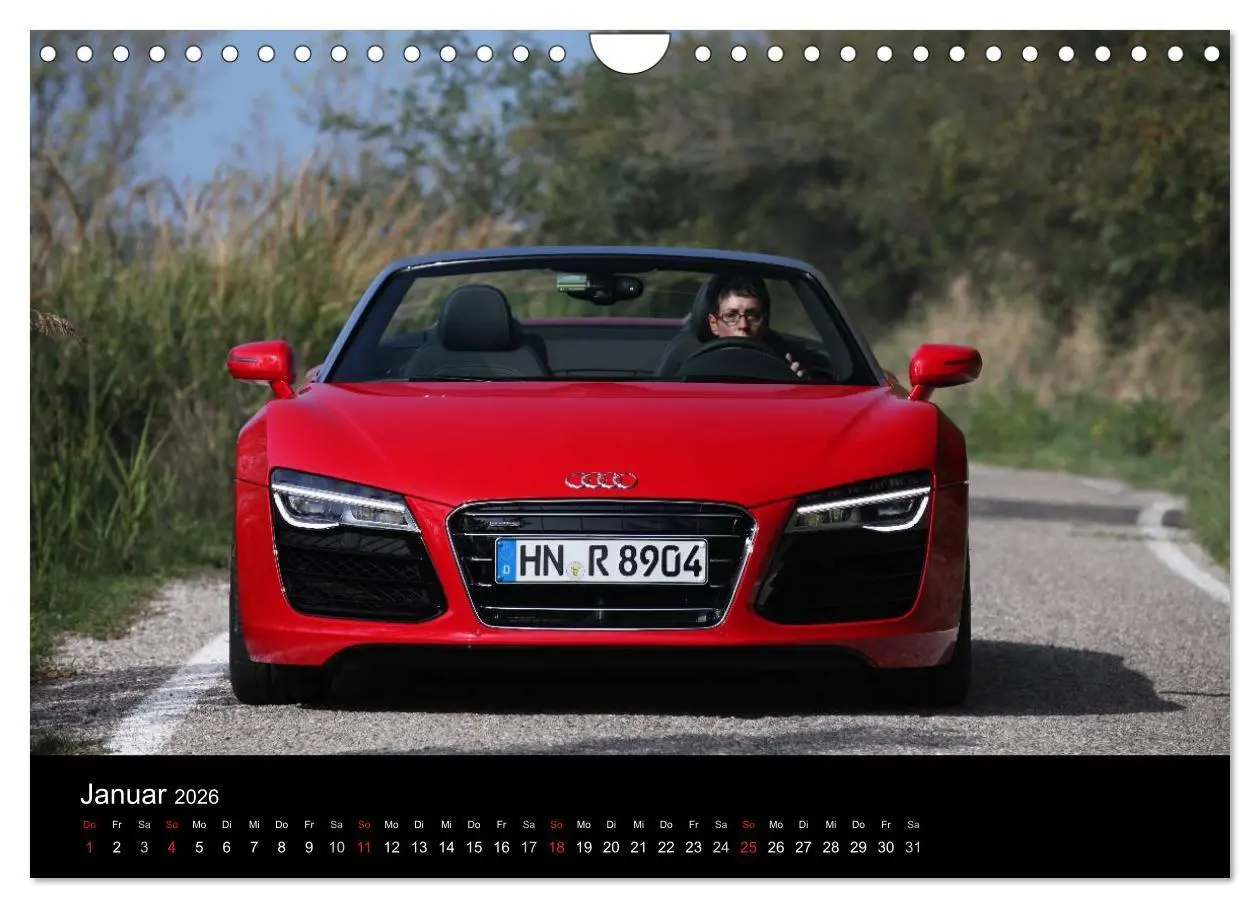 Bild: 9783516233261 | Vollblut-Sportler (Wandkalender 2026 DIN A4 quer), CALVENDO...