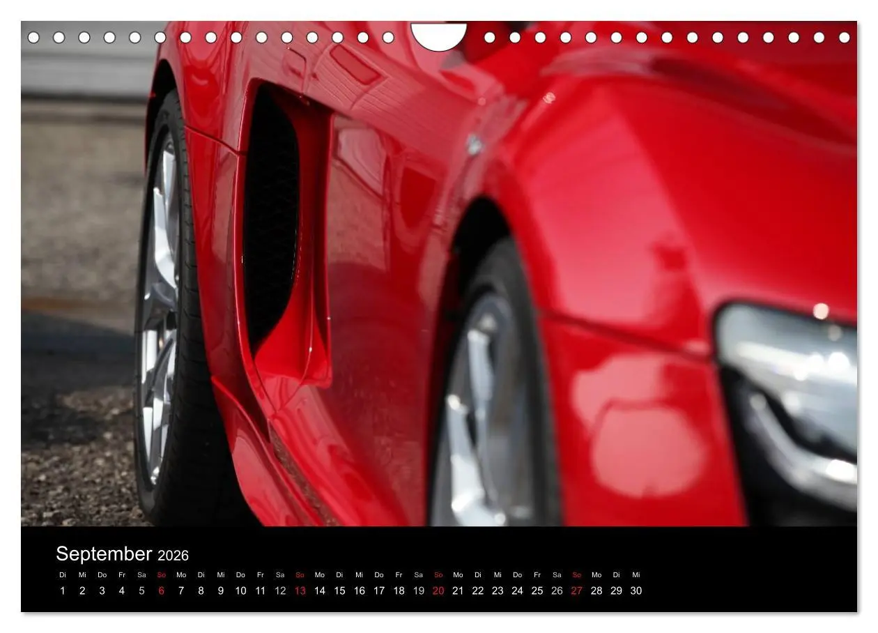 Bild: 9783516233261 | Vollblut-Sportler (Wandkalender 2026 DIN A4 quer), CALVENDO...