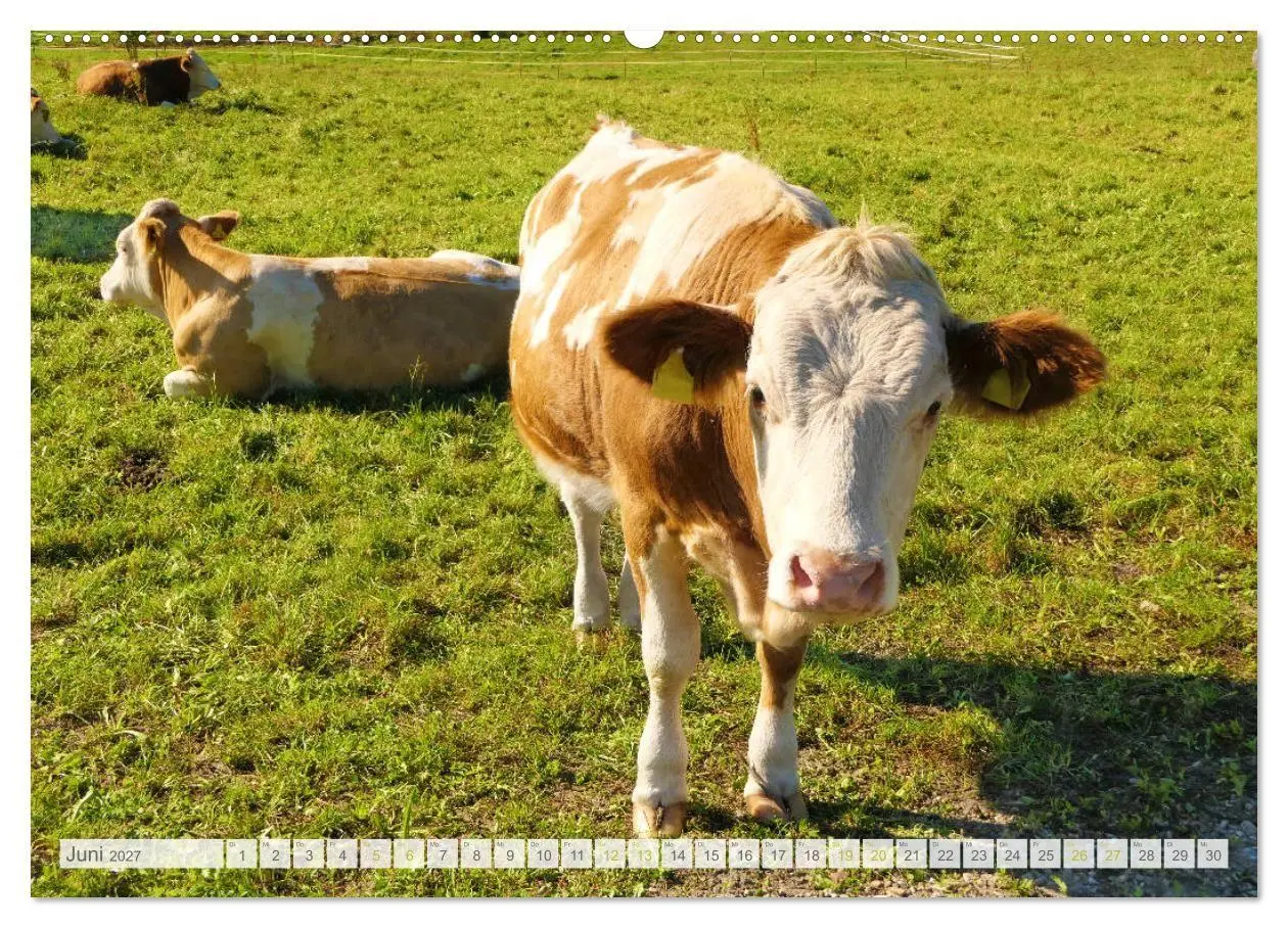 Bild: 9783569633261 | Wunderschönes Oberbayern (hochwertiger Premium Wandkalender 2027...