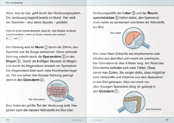 Bild: 9783939293361 | Ich kenne meinen Körper - Ernährung und Verdauung | GmbH (u. a.)