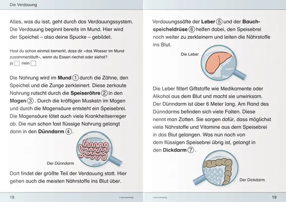 Bild: 9783939293361 | Ich kenne meinen Körper - Ernährung und Verdauung | GmbH (u. a.)
