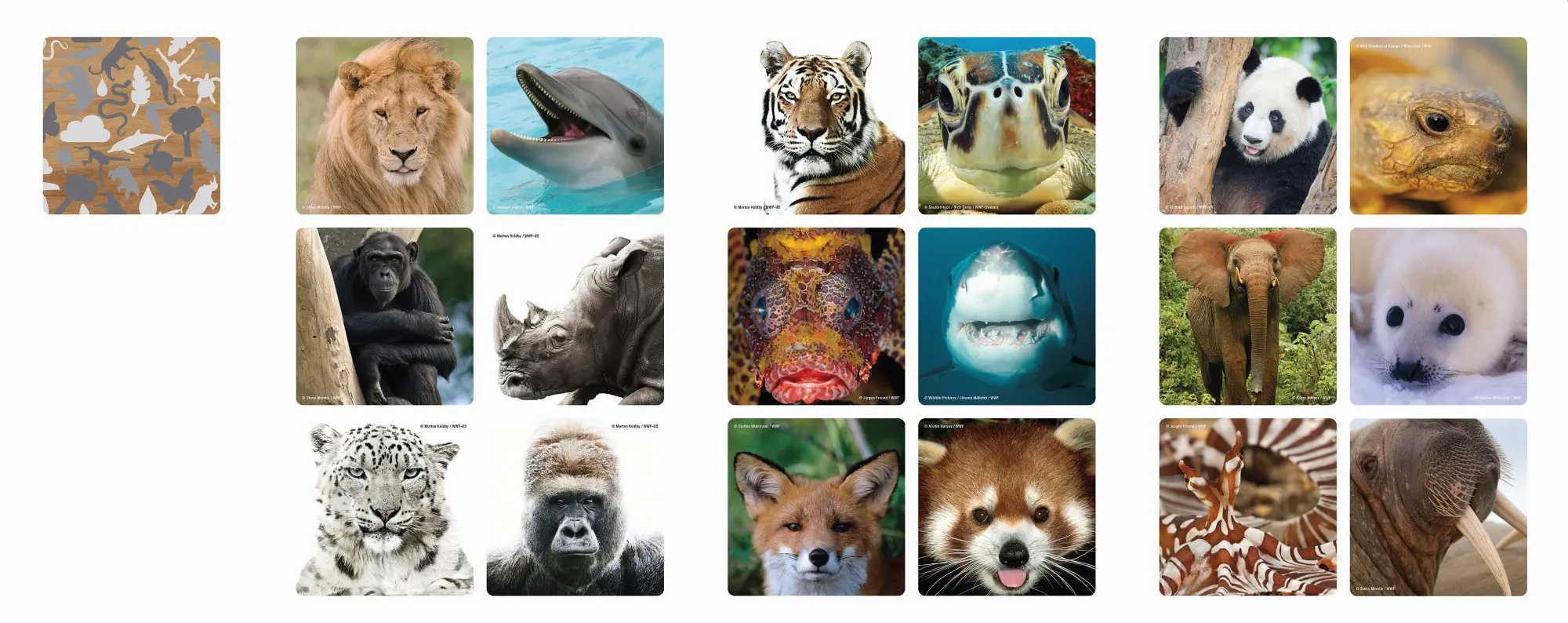 Bild: 4897049303461 | Ambassador - Memo Tierselfies, 36 Teile | WWF-Collection | Ambassador