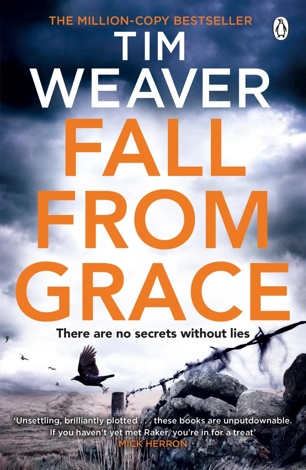 Cover: 9781405913461 | Fall From Grace | Tim Weaver | Taschenbuch | 528 S. | Englisch | 2014