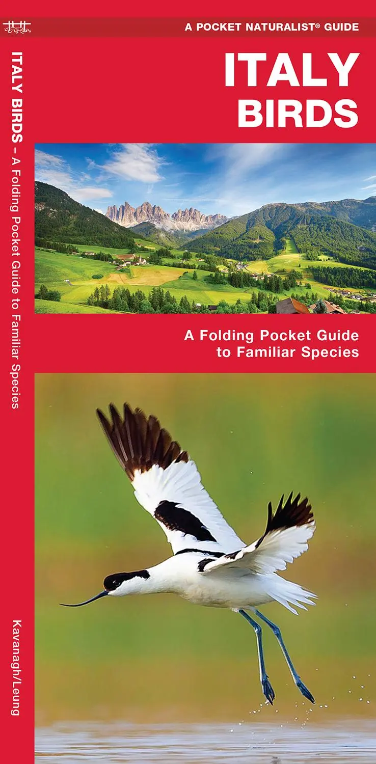 Cover: 9781620053461 | Italy Birds | A Folding Pocket Guide to Familiar Species | Broschüre