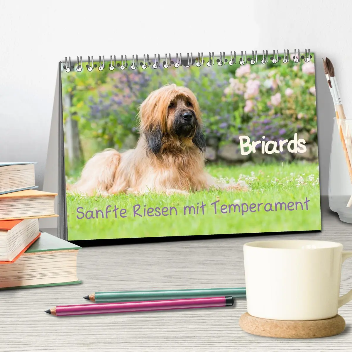 Bild: 9783516073461 | Briards - sanfte Riesen mit Temperament (Tischkalender 2026 DIN A5...