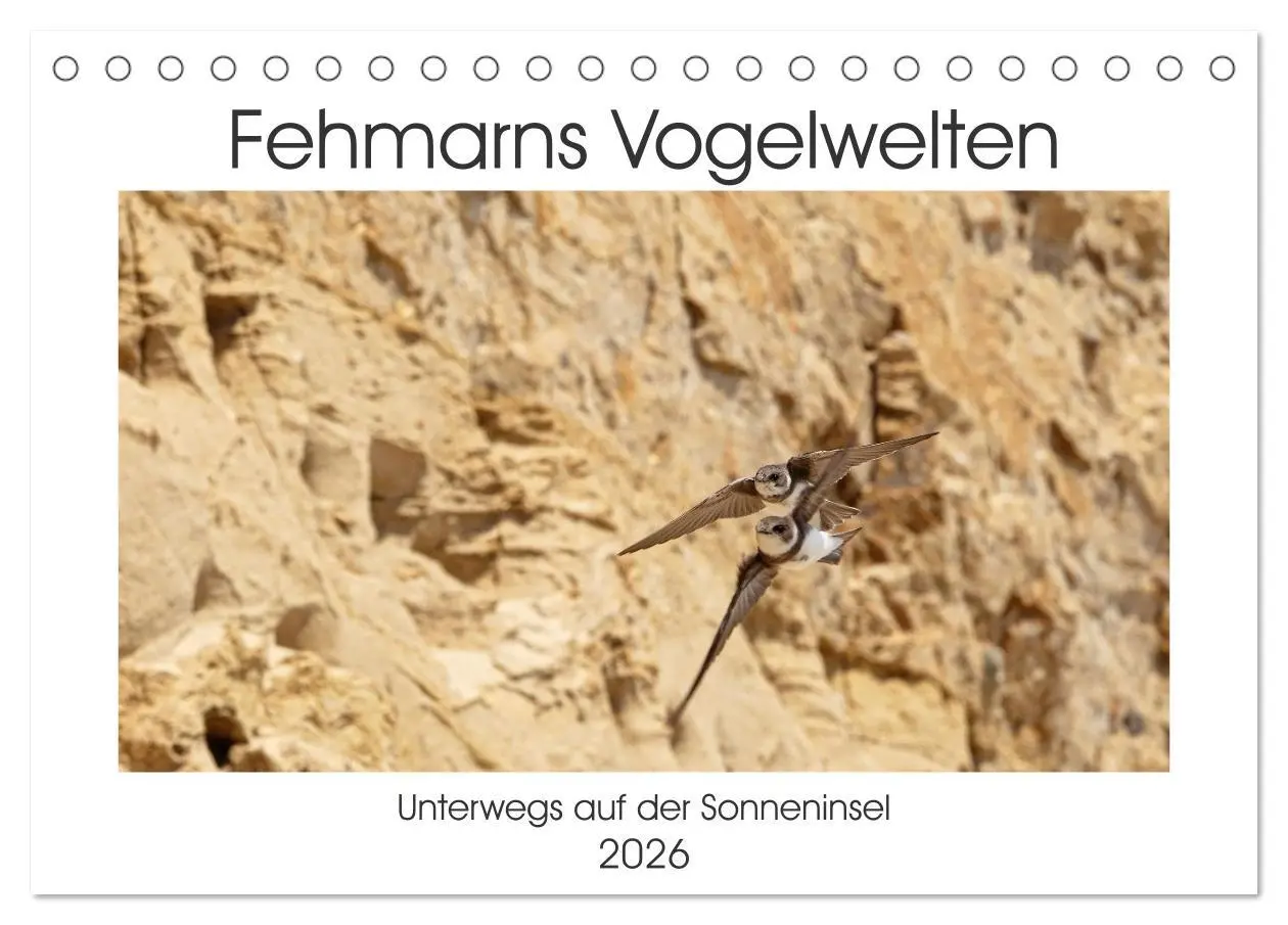 Cover: 9783457653661 | Fehmarn Vogelwelten (Tischkalender 2026 DIN A5 quer), CALVENDO...