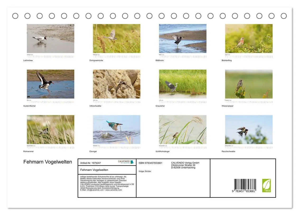 Bild: 9783457653661 | Fehmarn Vogelwelten (Tischkalender 2026 DIN A5 quer), CALVENDO...