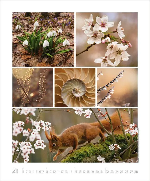 Bild: 9783819303661 | NaturGenuss 2027 | Verlag Korsch | Kalender | Spiralbindung | 14 S.