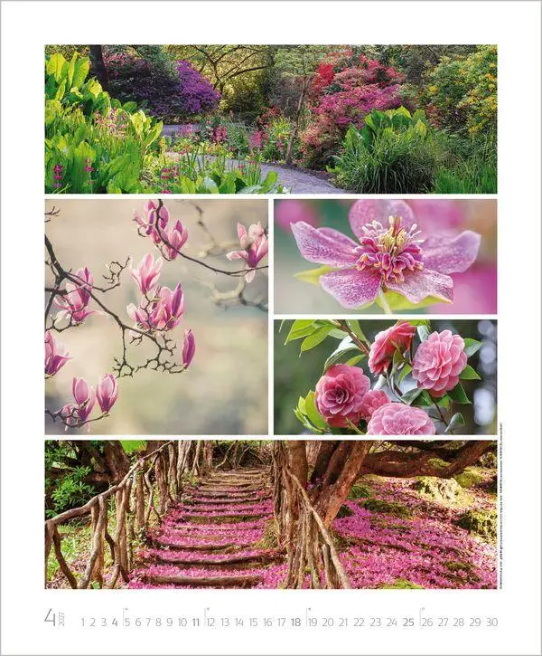 Bild: 9783819303661 | NaturGenuss 2027 | Verlag Korsch | Kalender | Spiralbindung | 14 S.