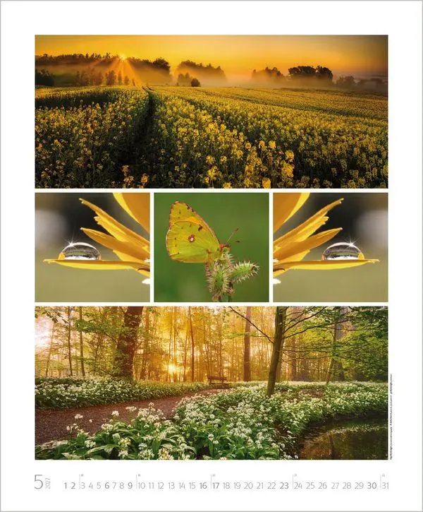 Bild: 9783819303661 | NaturGenuss 2027 | Verlag Korsch | Kalender | Spiralbindung | 14 S.