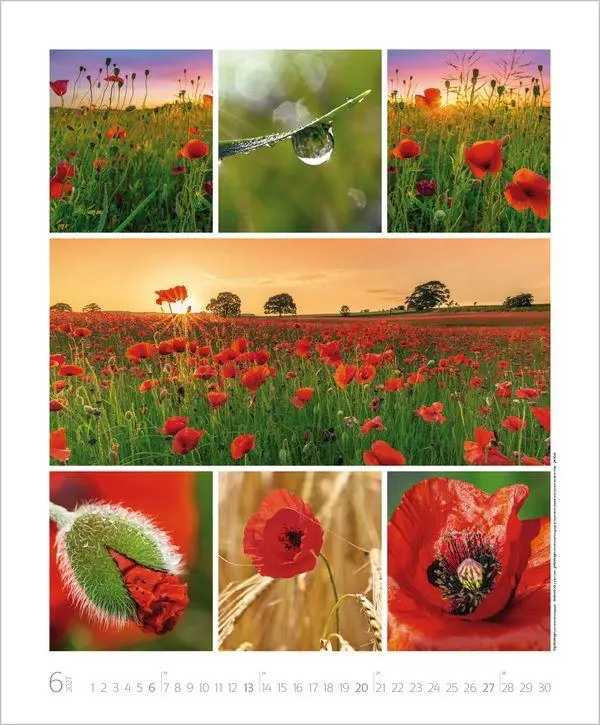 Bild: 9783819303661 | NaturGenuss 2027 | Verlag Korsch | Kalender | Spiralbindung | 14 S.