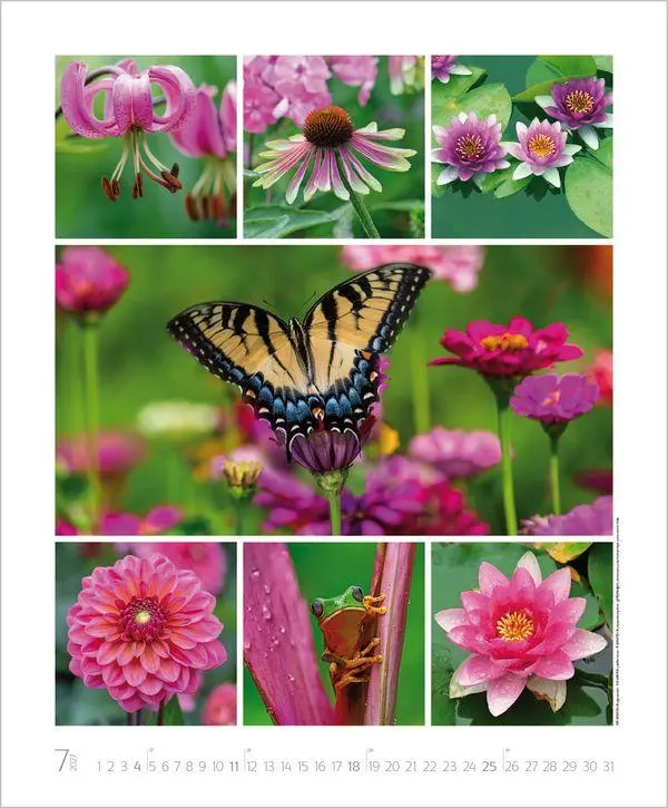 Bild: 9783819303661 | NaturGenuss 2027 | Verlag Korsch | Kalender | Spiralbindung | 14 S.