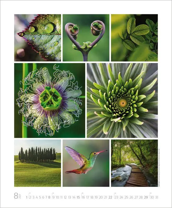 Bild: 9783819303661 | NaturGenuss 2027 | Verlag Korsch | Kalender | Spiralbindung | 14 S.