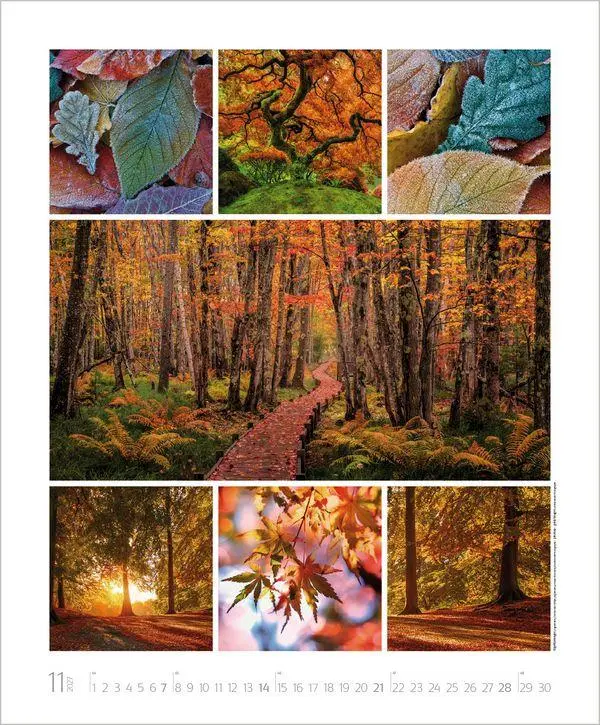 Bild: 9783819303661 | NaturGenuss 2027 | Verlag Korsch | Kalender | Spiralbindung | 14 S.