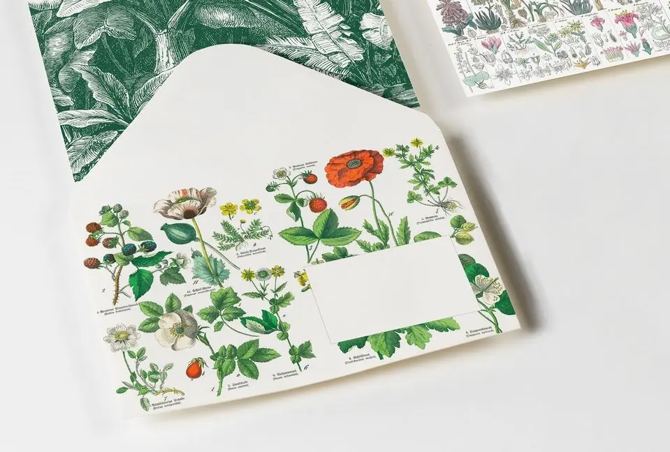 Cover: 9789460093661 | Botanical, 20 Umschläge | Envelopes (C6) | Pepin van Roojen | Englisch