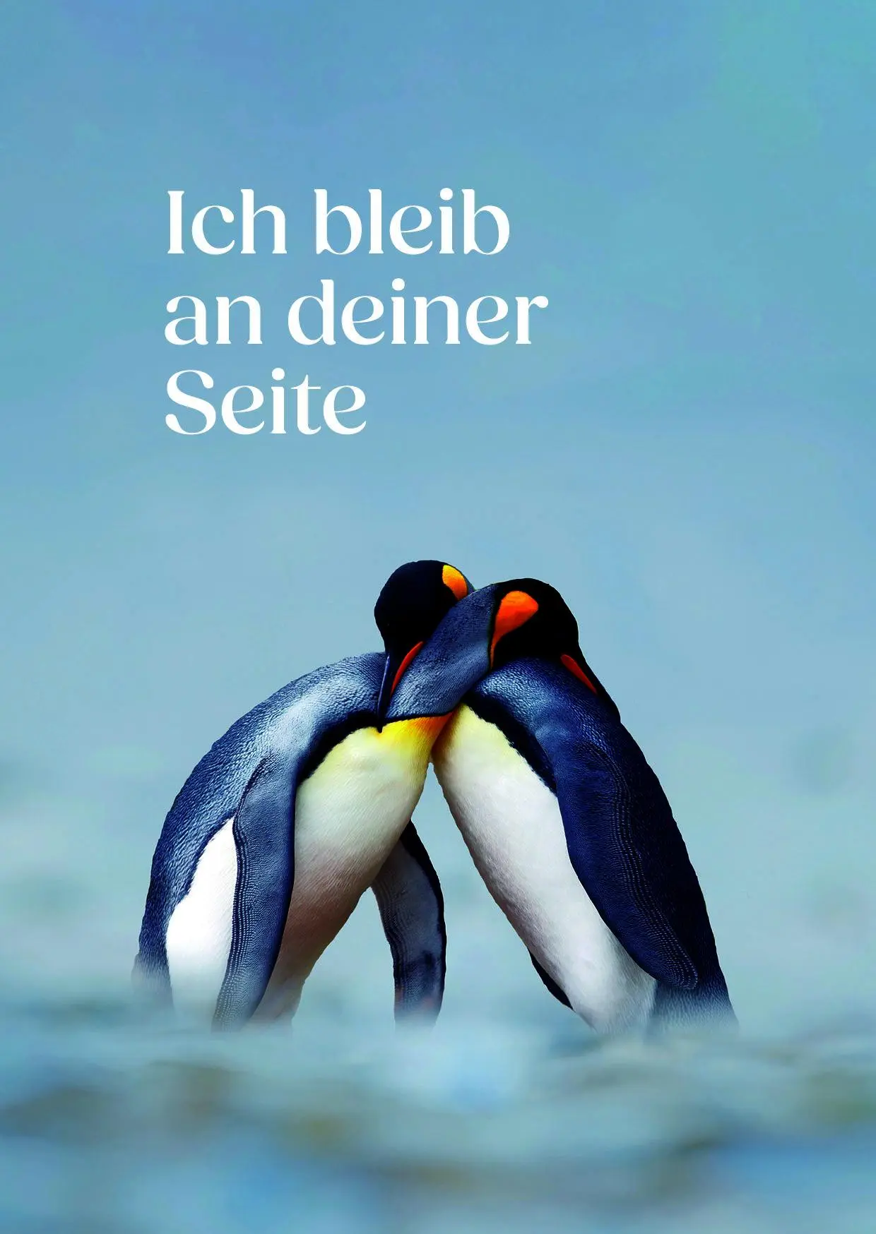 Bild: 4250222933761 | Blessings für dich | 12 Postkarten mit Bibelversen - PK-Set | Karten