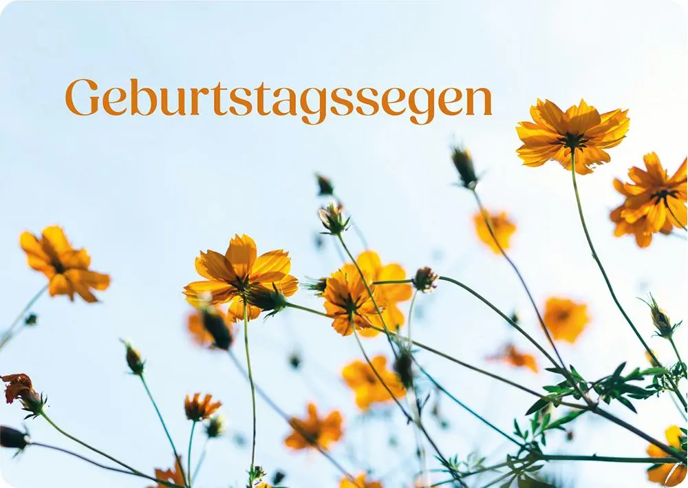 Bild: 4250222933761 | Blessings für dich | 12 Postkarten mit Bibelversen - PK-Set | Karten