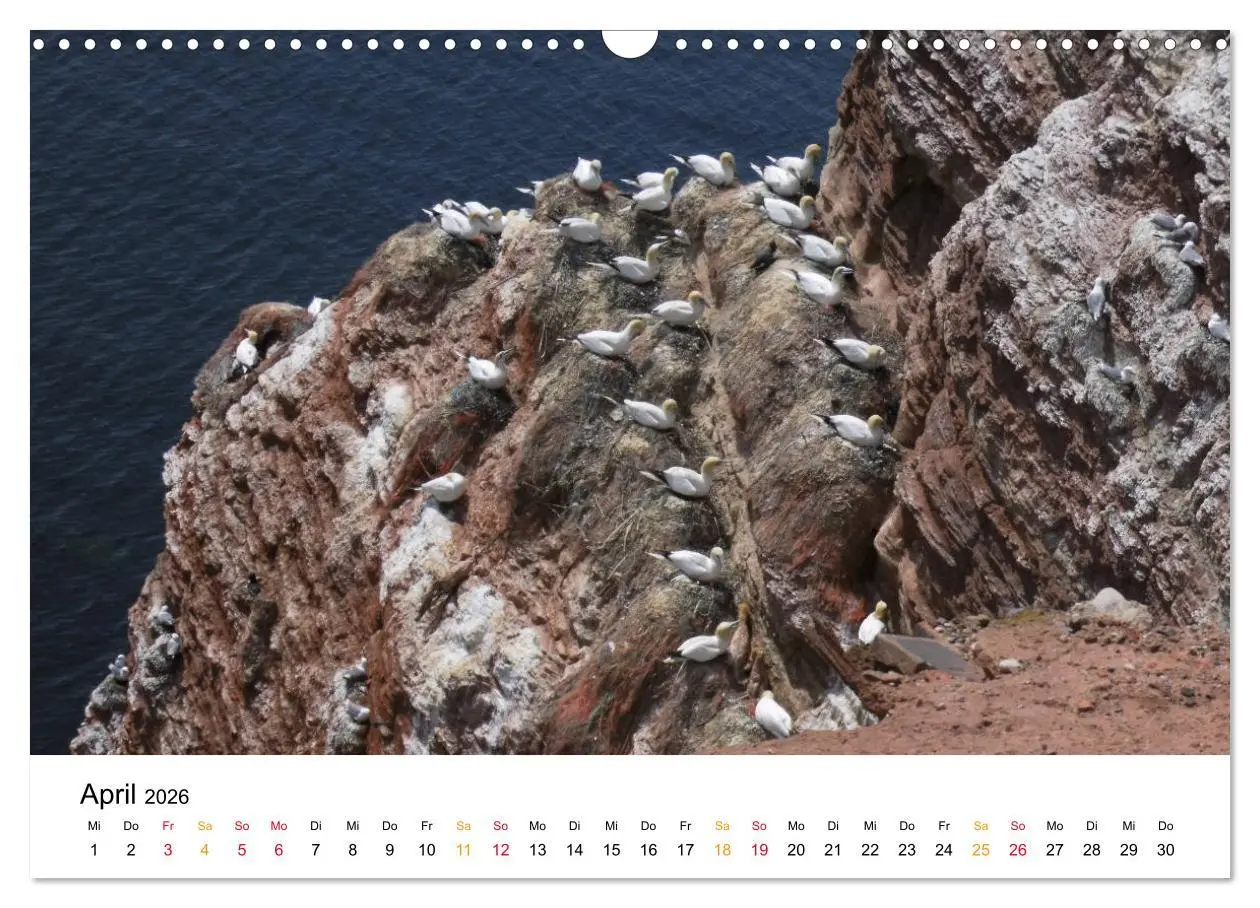 Bild: 9783457883761 | Helgoland Kalender (Wandkalender 2026 DIN A3 quer), CALVENDO...