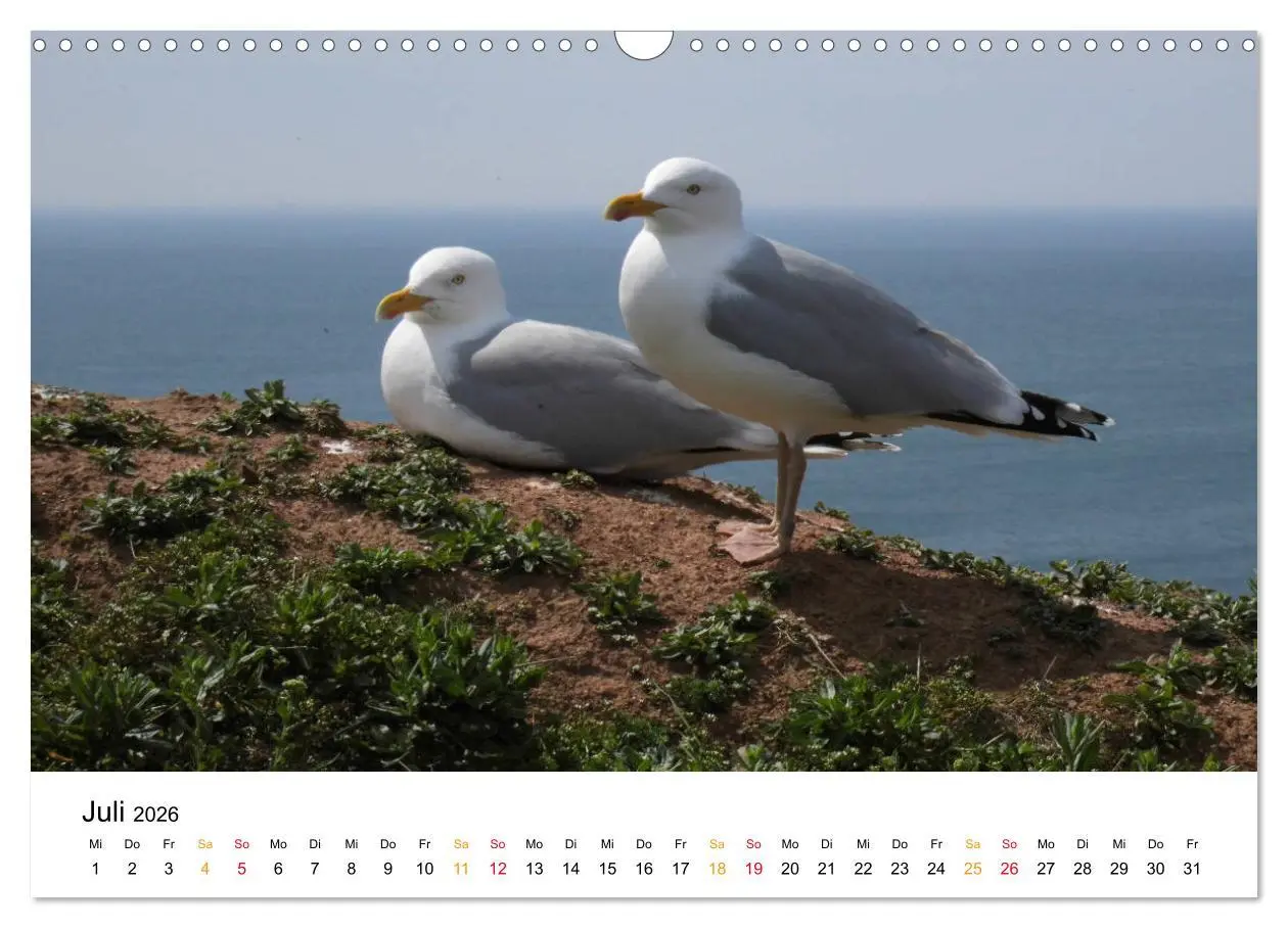 Bild: 9783457883761 | Helgoland Kalender (Wandkalender 2026 DIN A3 quer), CALVENDO...