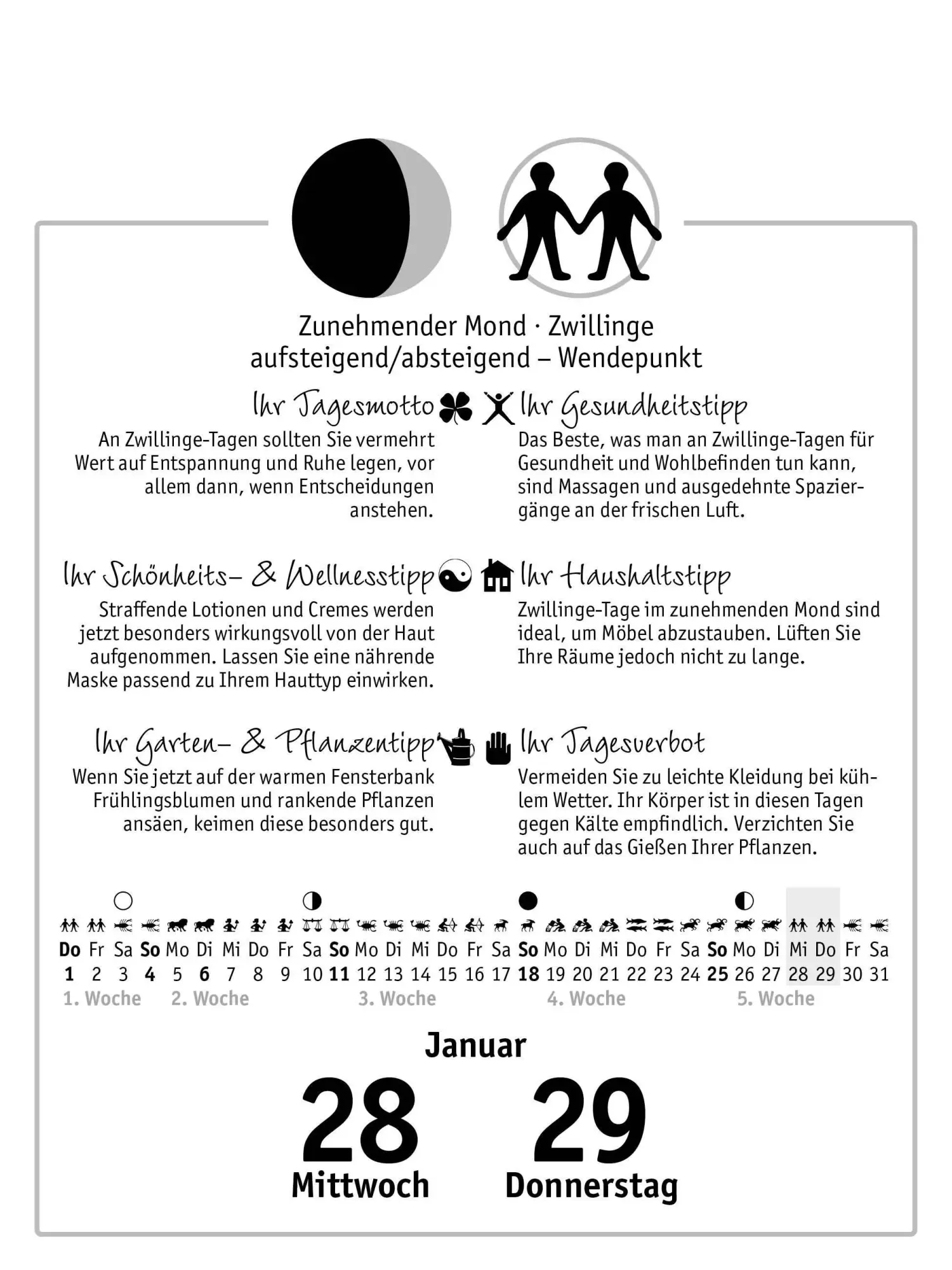 Bild: 9783517103761 | Der Mond 2026 - Tagesabreißkalender | Anna Mühlbauer | Kalender | 2026