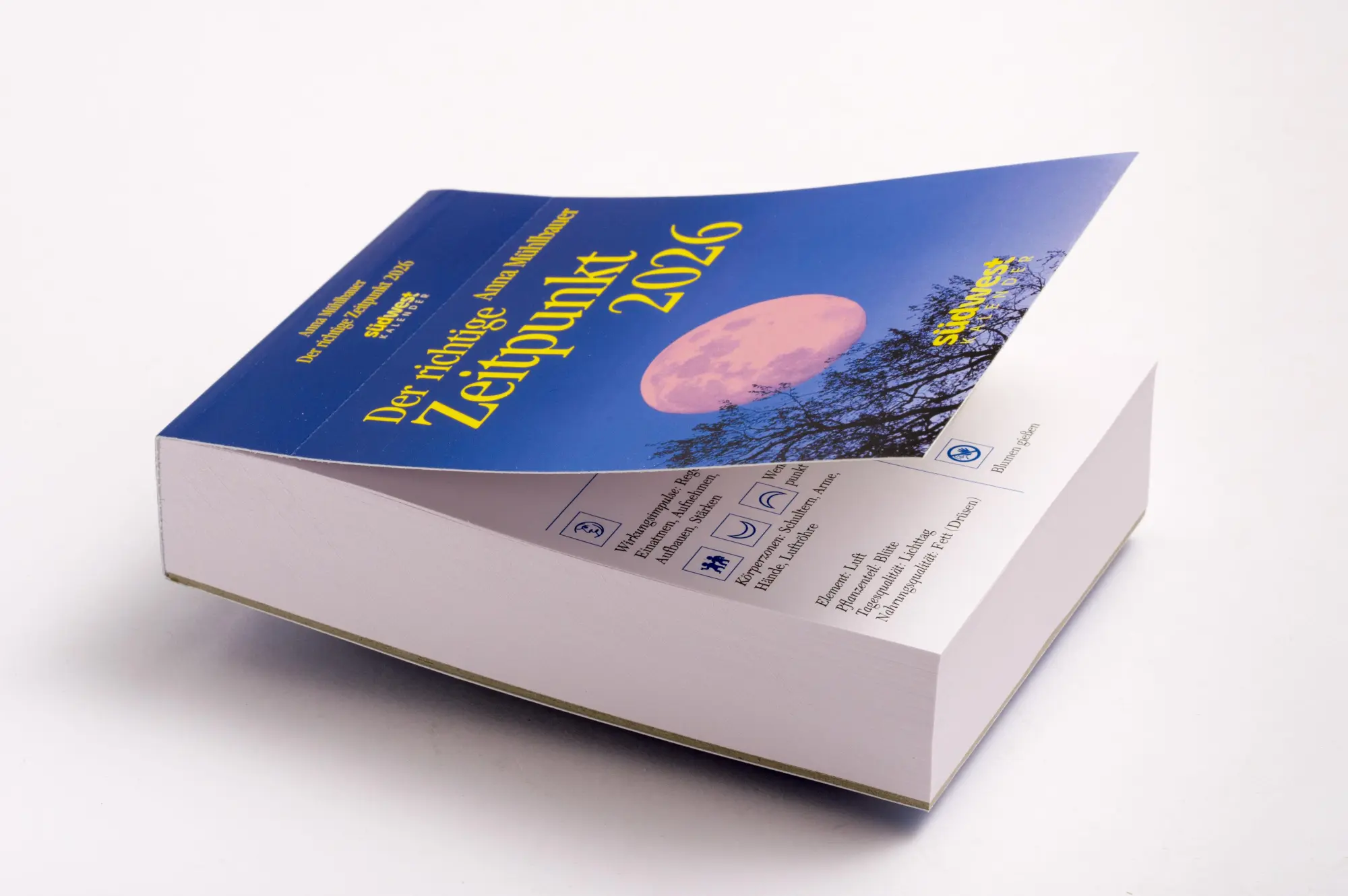 Bild: 9783517103761 | Der Mond 2026 - Tagesabreißkalender | Anna Mühlbauer | Kalender | 2026