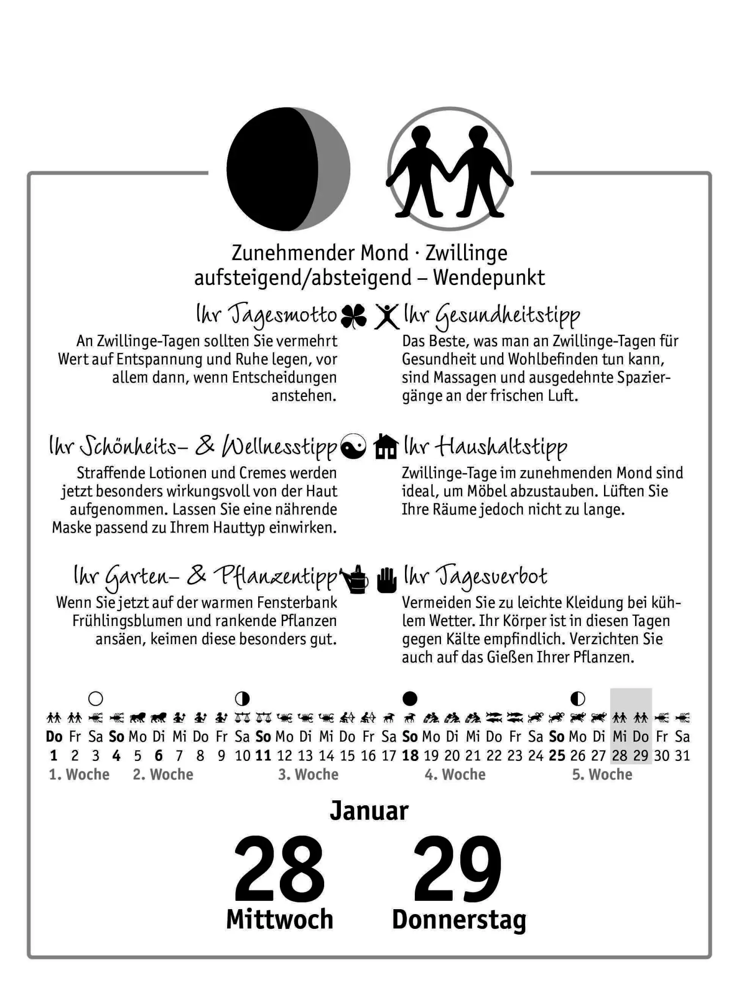 Bild: 9783517103761 | Der Mond 2026 - Tagesabreißkalender | Anna Mühlbauer | Kalender | 2026