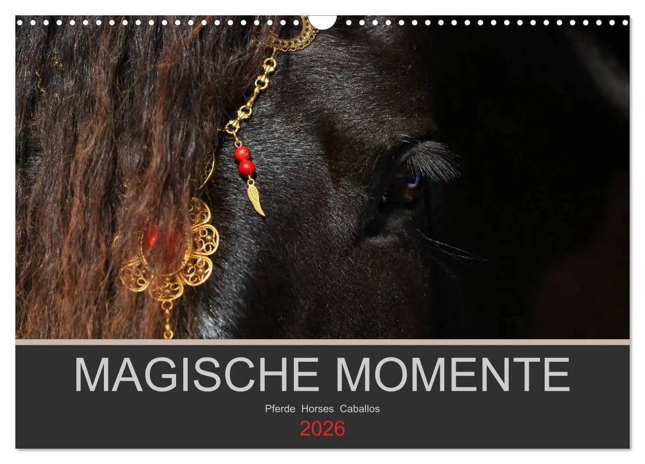 Cover: 9783516023961 | Magische Momente - Pferde Horses Caballos (Wandkalender 2026 DIN A3...