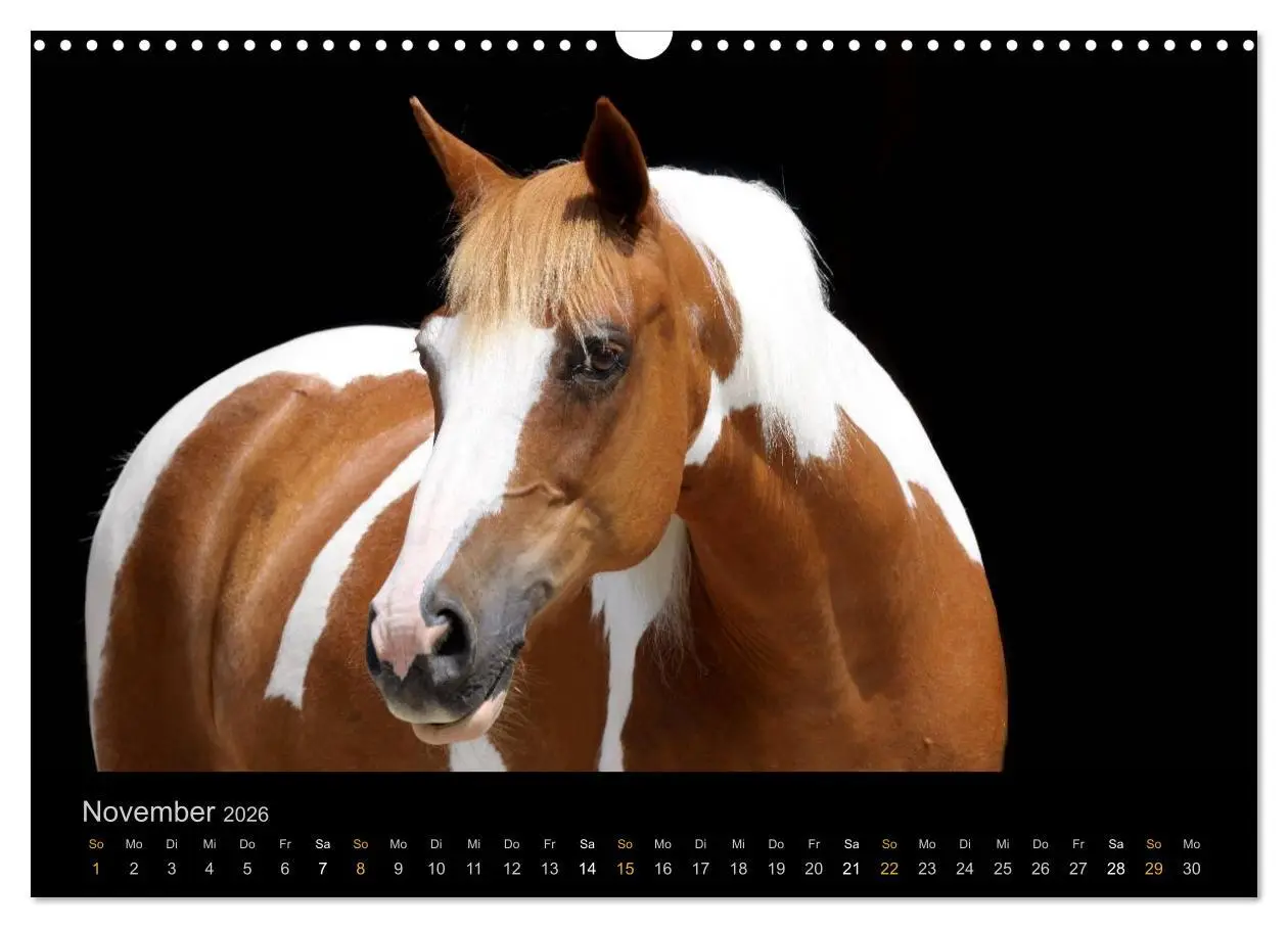 Bild: 9783516023961 | Magische Momente - Pferde Horses Caballos (Wandkalender 2026 DIN A3...
