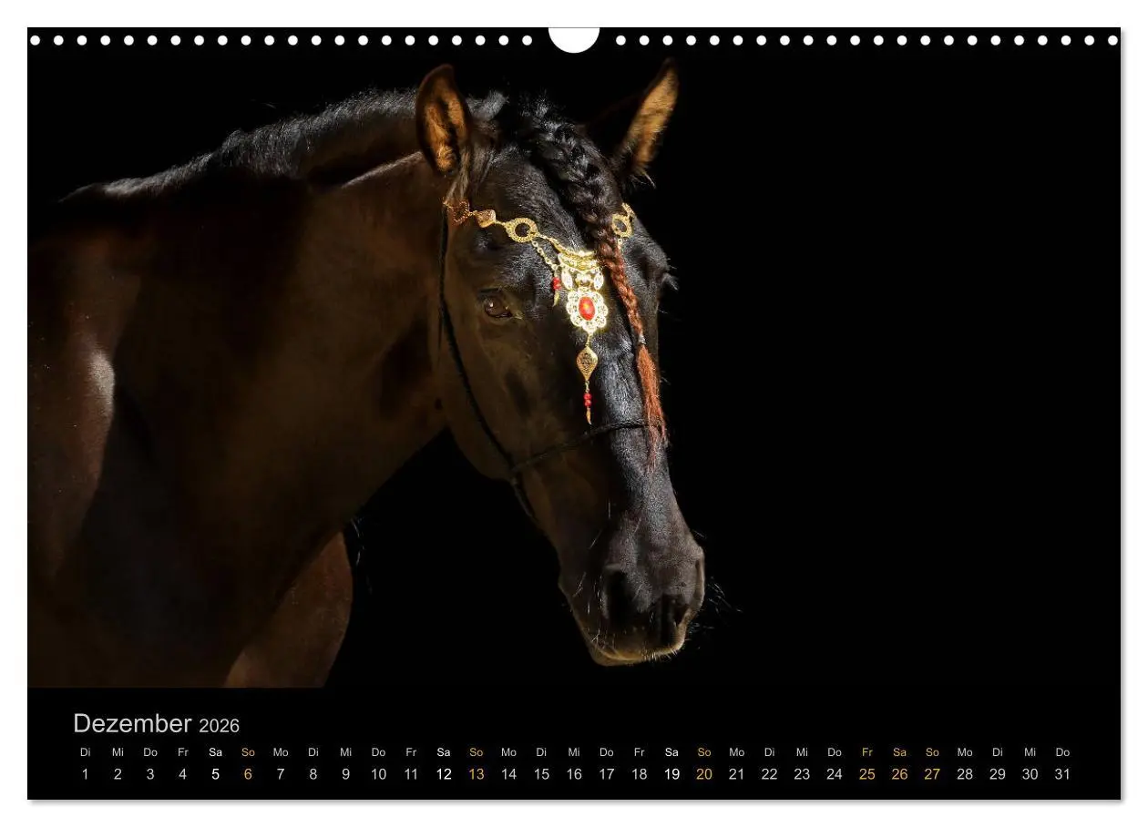 Bild: 9783516023961 | Magische Momente - Pferde Horses Caballos (Wandkalender 2026 DIN A3...