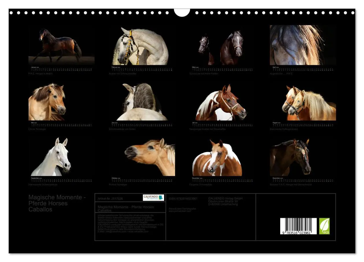 Bild: 9783516023961 | Magische Momente - Pferde Horses Caballos (Wandkalender 2026 DIN A3...