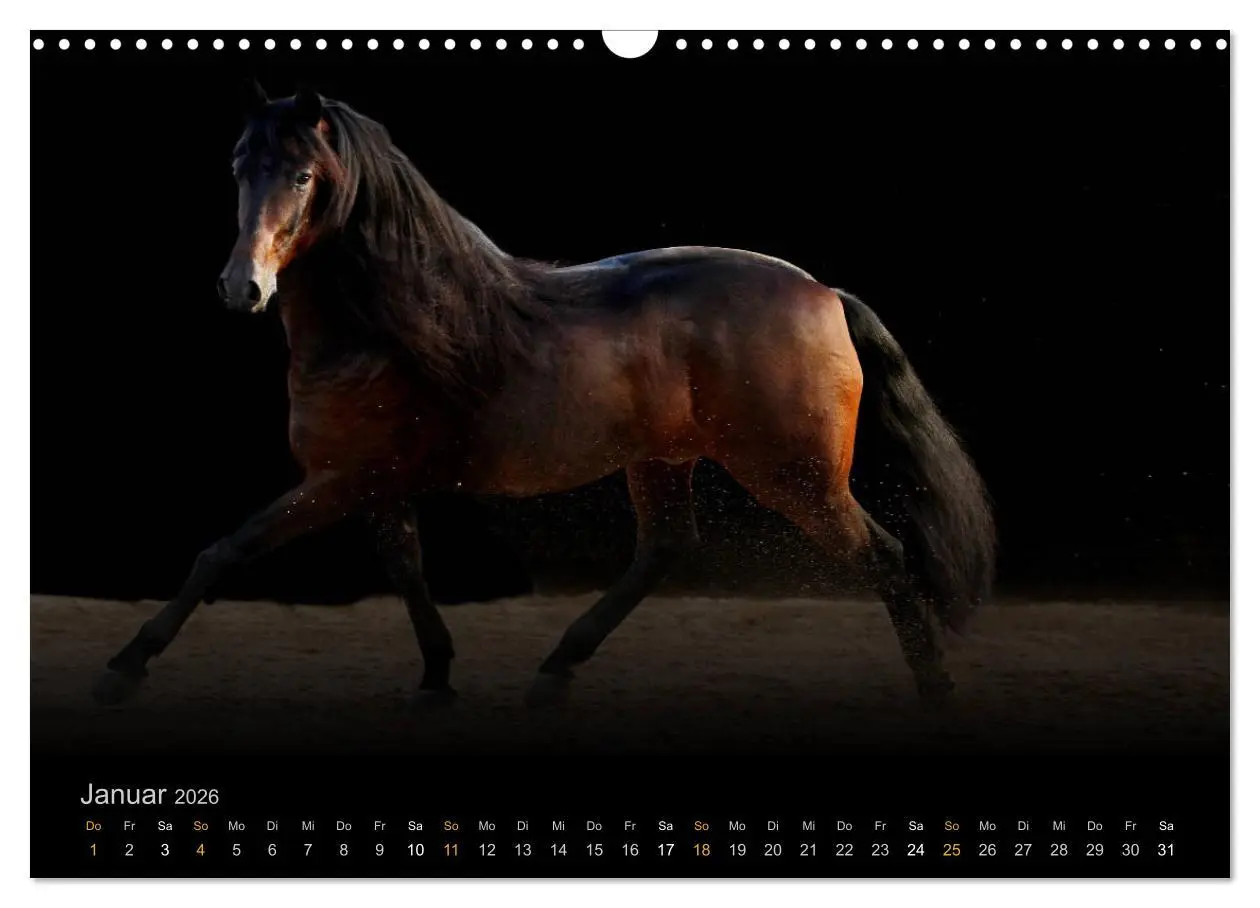 Bild: 9783516023961 | Magische Momente - Pferde Horses Caballos (Wandkalender 2026 DIN A3...