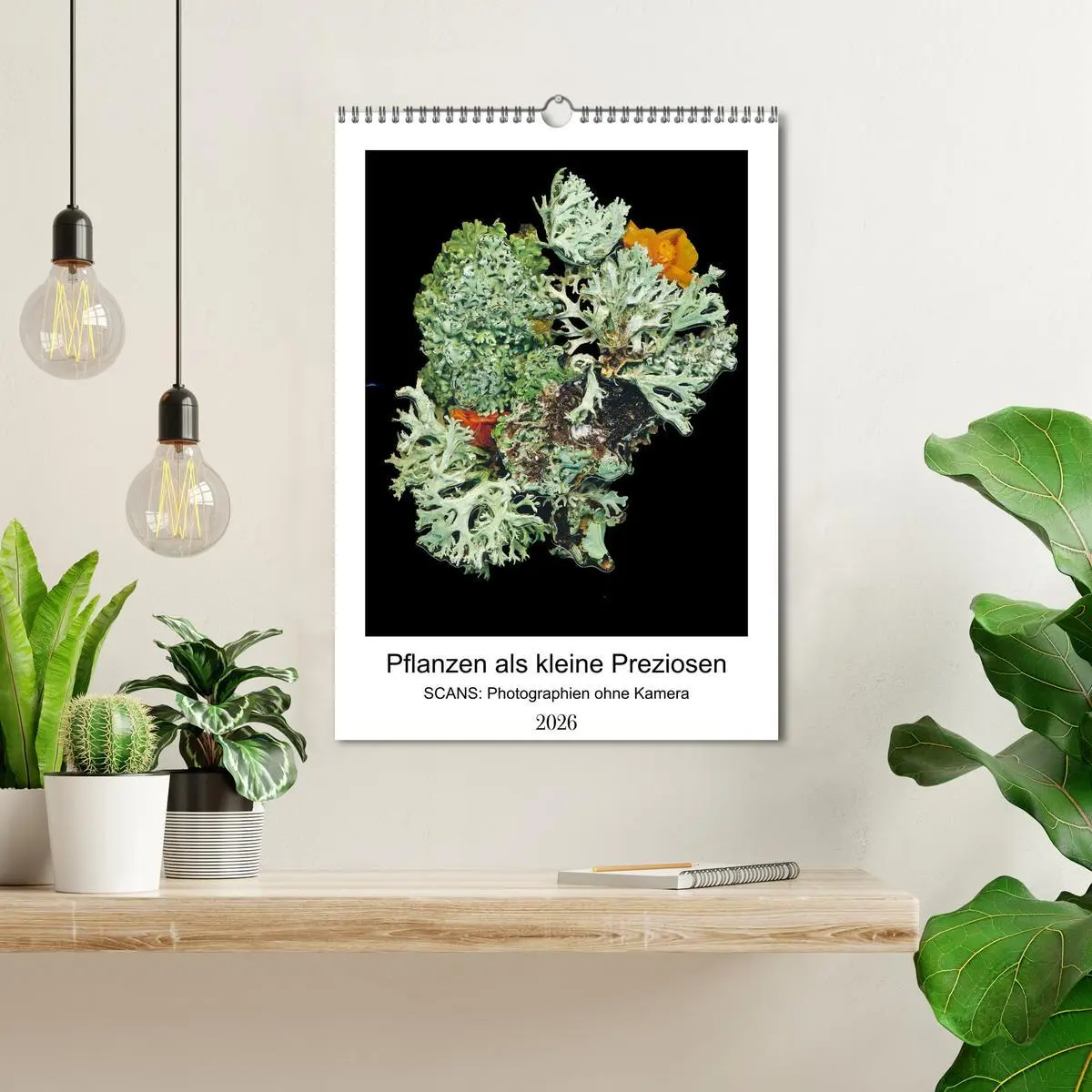 Bild: 9783516333961 | Pflanzen als kleine Preziosen (Wandkalender 2026 DIN A3 hoch),...