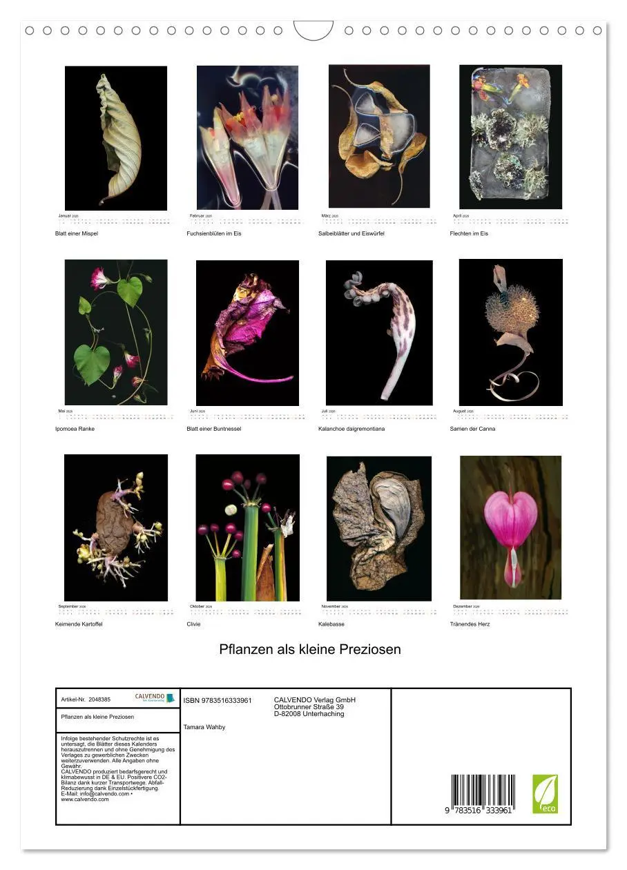Bild: 9783516333961 | Pflanzen als kleine Preziosen (Wandkalender 2026 DIN A3 hoch),...