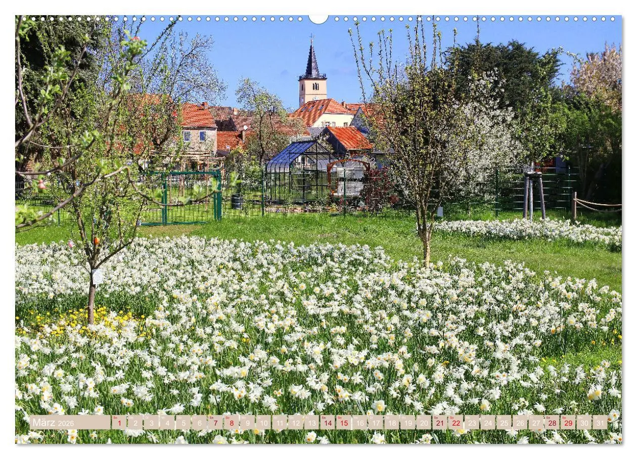 Bild: 9783457514061 | Ein Spaziergang durch Beelitz (Wandkalender 2026 DIN A2 quer),...
