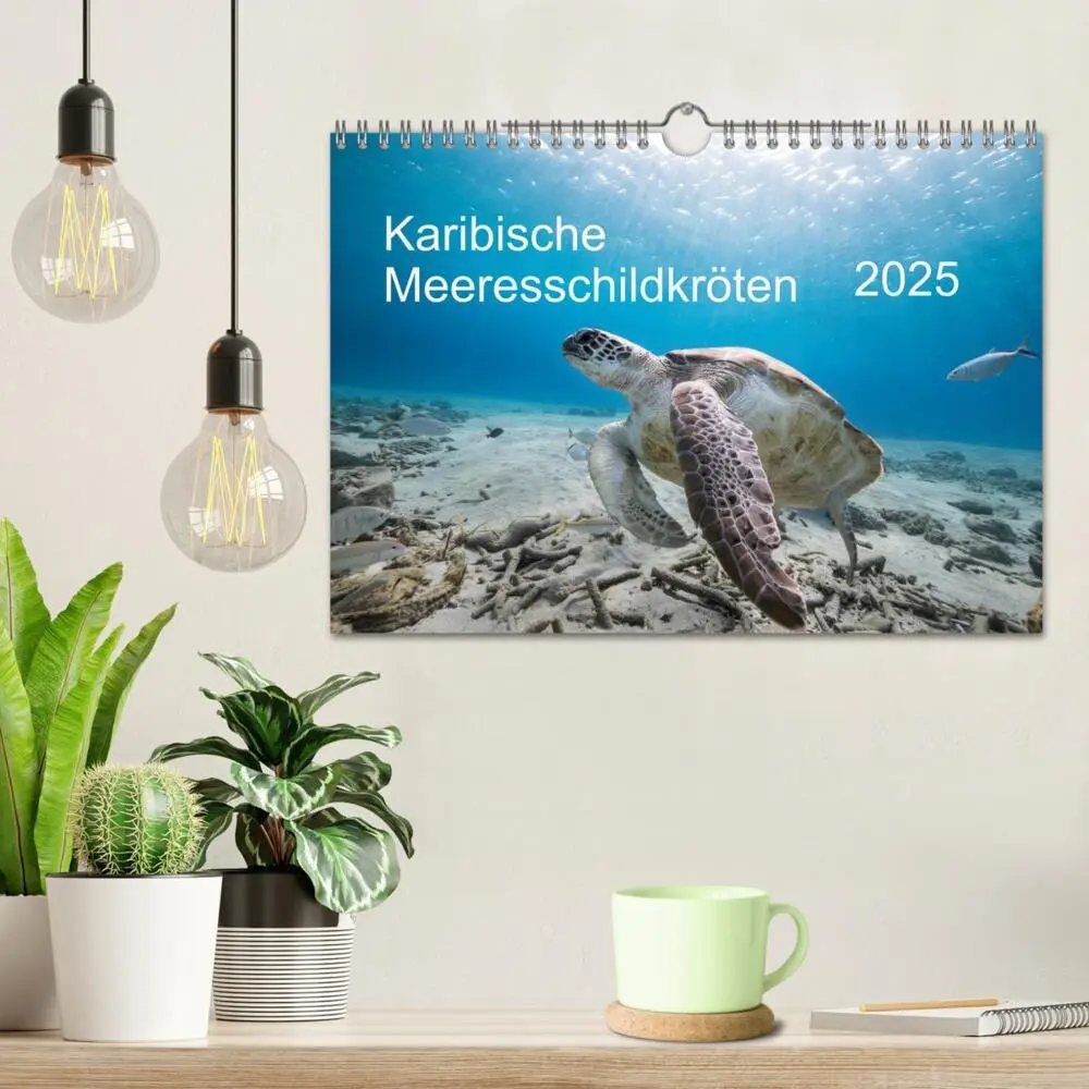 Bild: 9783435344161 | Karibische Meeresschildkröten (Wandkalender 2025 DIN A4 quer),...