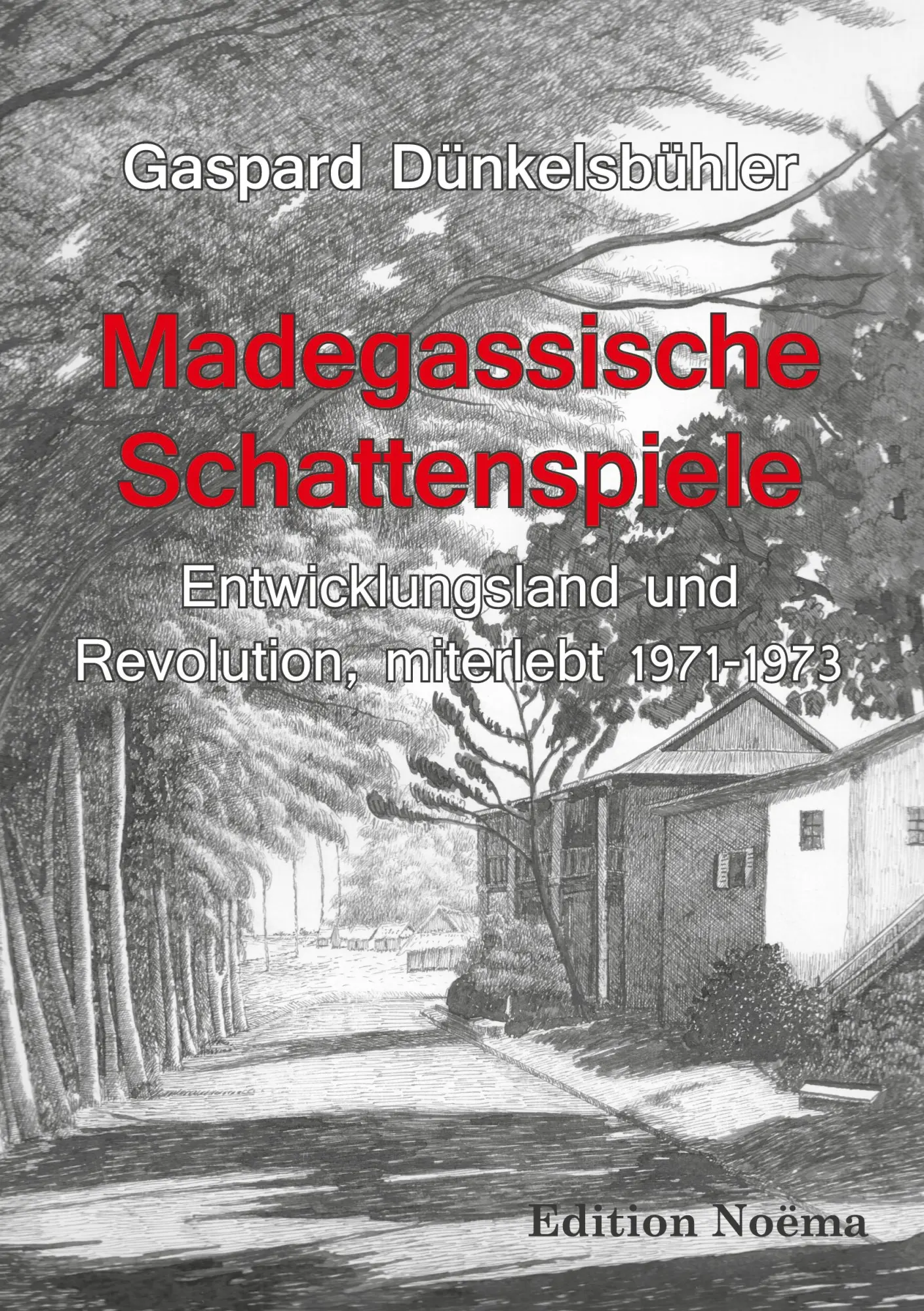 Cover: 9783838204161 | Madegassische Schattenspiele | Gaspard Dünkelsbühler | Taschenbuch