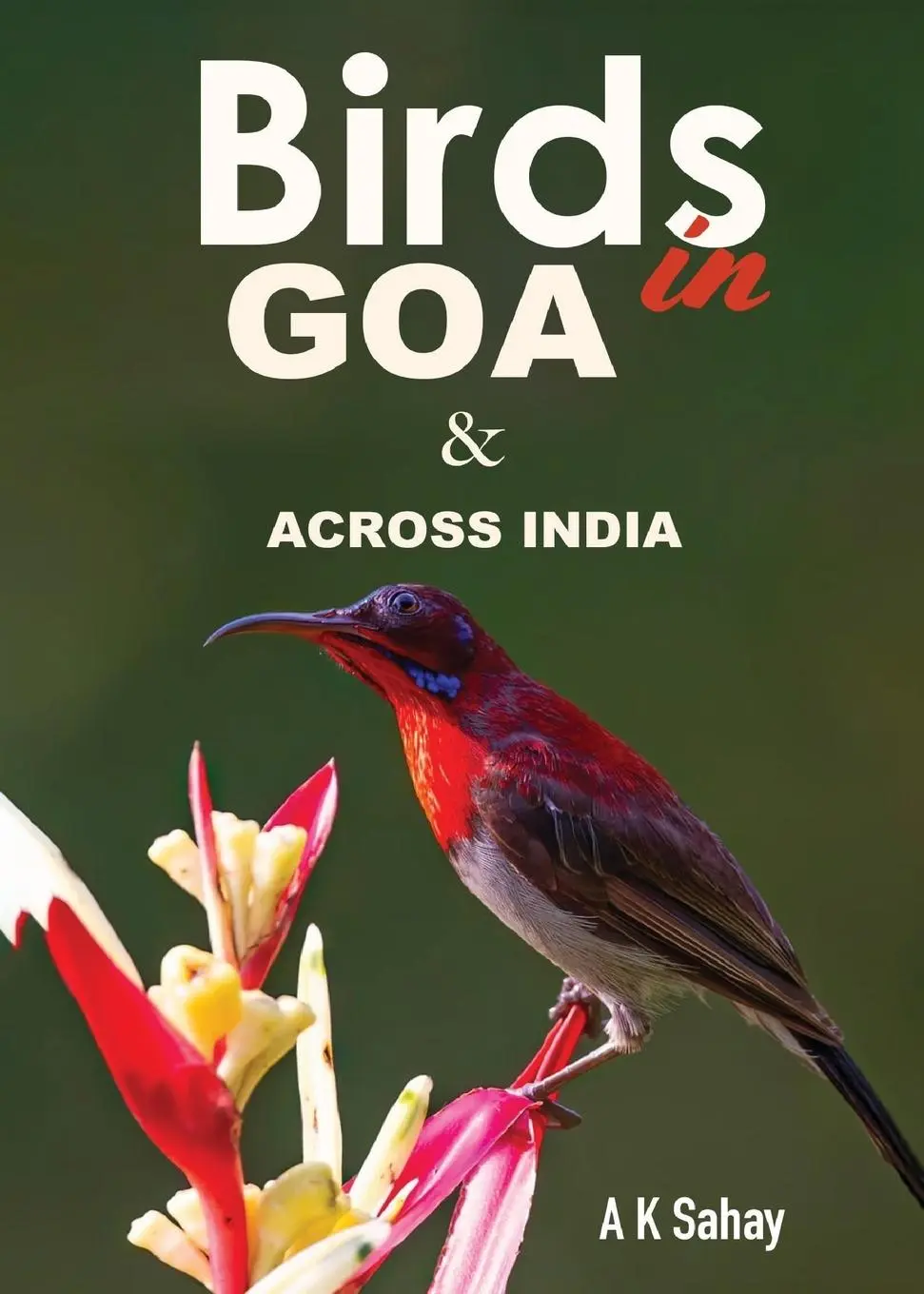 Cover: 9798892224161 | Birds in Goa &amp; Across India | A K Sahay | Taschenbuch | Englisch