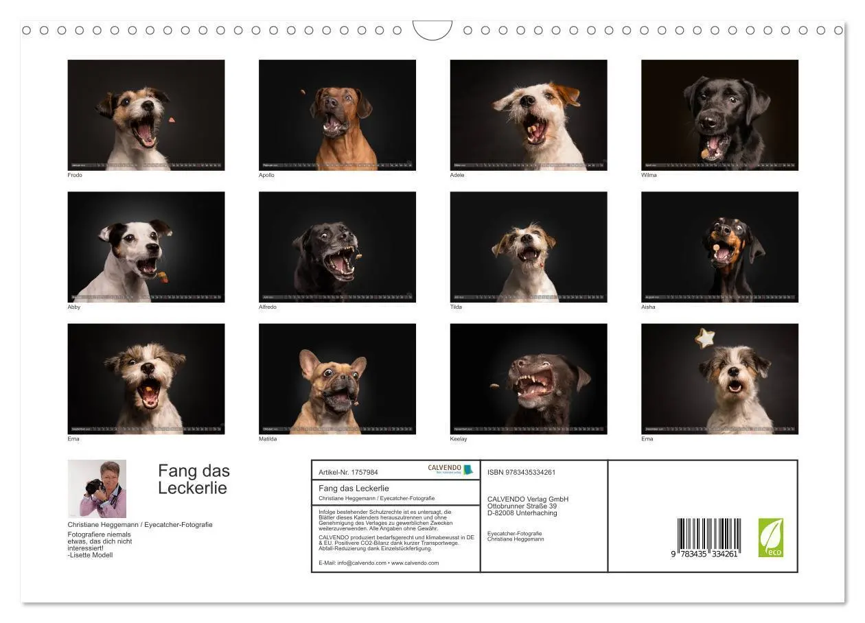 Bild: 9783435334261 | Fang das Leckerlie (Wandkalender 2025 DIN A3 quer), CALVENDO...