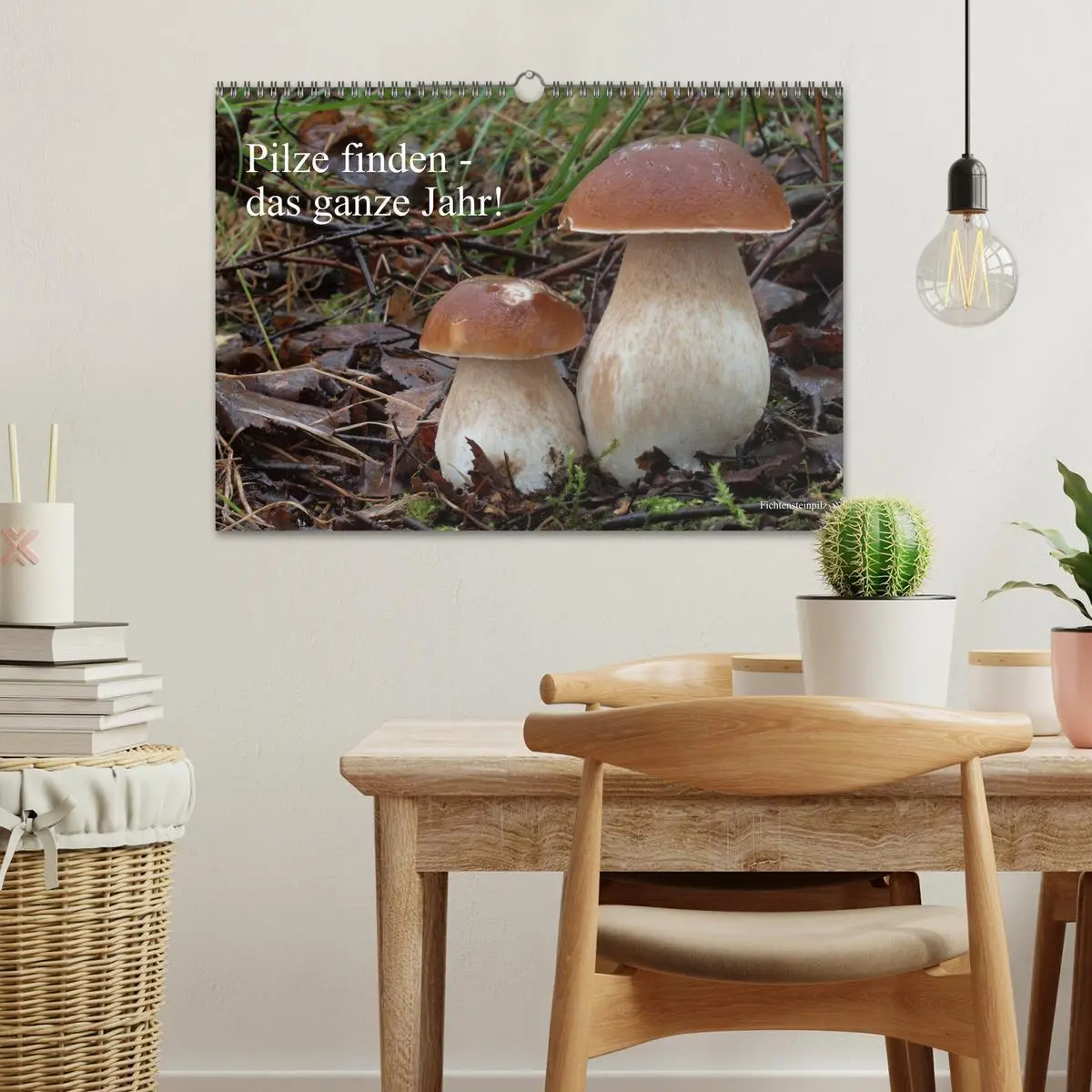 Bild: 9783457804261 | Pilze finden - das ganze Jahr! (Wandkalender 2026 DIN A3 quer),...