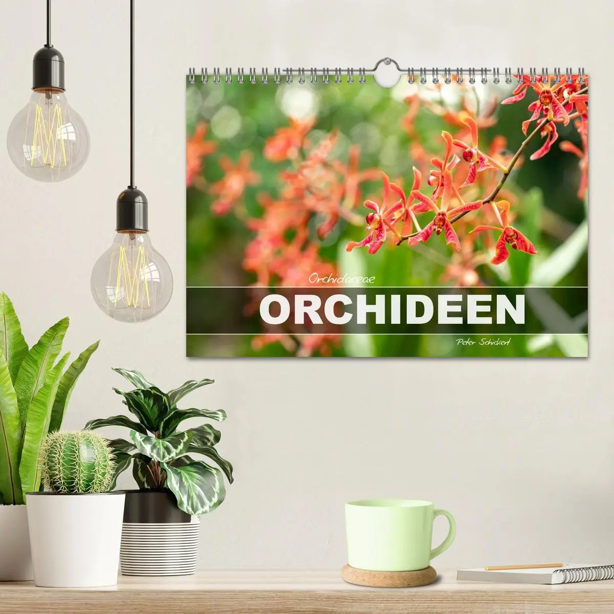 Bild: 9783457274361 | Orchidaceae - Orchideen (Wandkalender 2026 DIN A4 quer), CALVENDO...