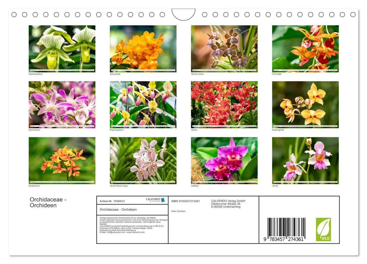 Bild: 9783457274361 | Orchidaceae - Orchideen (Wandkalender 2026 DIN A4 quer), CALVENDO...