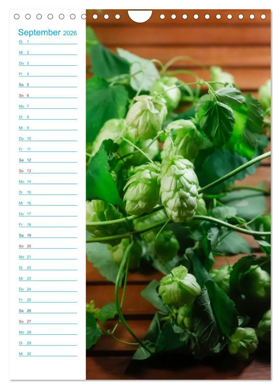 Bild: 9783516434361 | Bier (Wandkalender 2026 DIN A4 hoch), CALVENDO Monatskalender | Jäger
