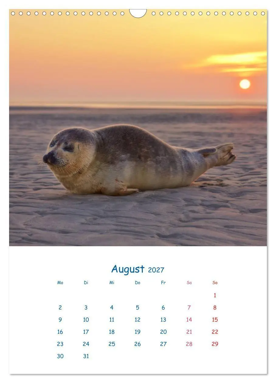 Bild: 9783594274361 | Küstenmomente des Jahres (Wandkalender 2027 DIN A3 hoch), CALVENDO...