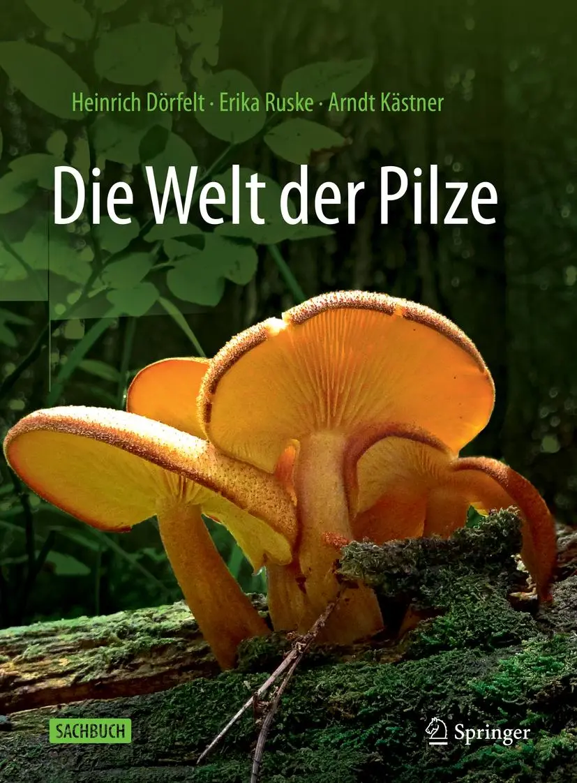 Cover: 9783662654361 | Die Welt der Pilze | Heinrich Dörfelt (u. a.) | Buch | xvii | Deutsch