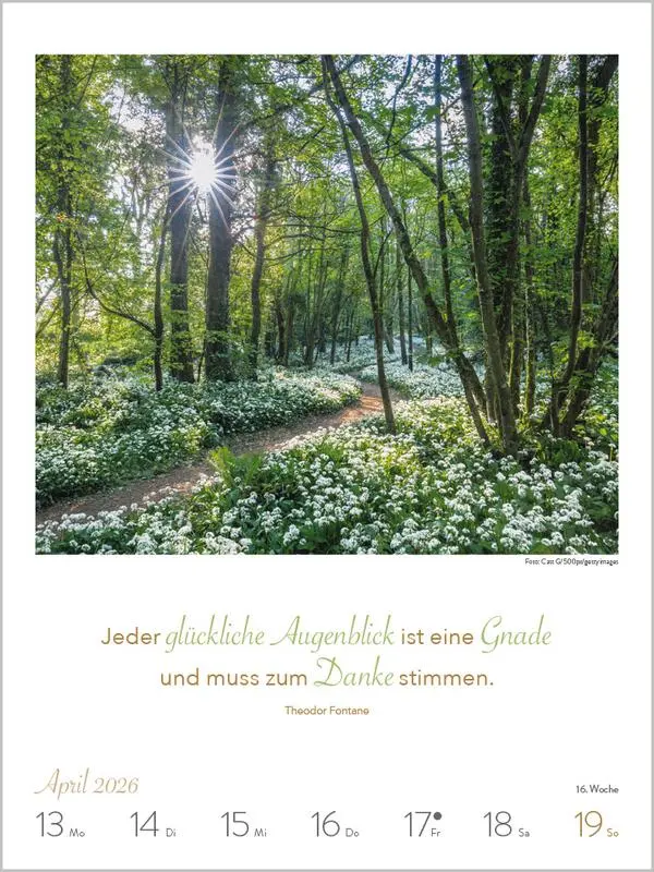 Bild: 9783731884361 | Literaturkalender Lebensweisheiten 2026 | Verlag Korsch | Kalender