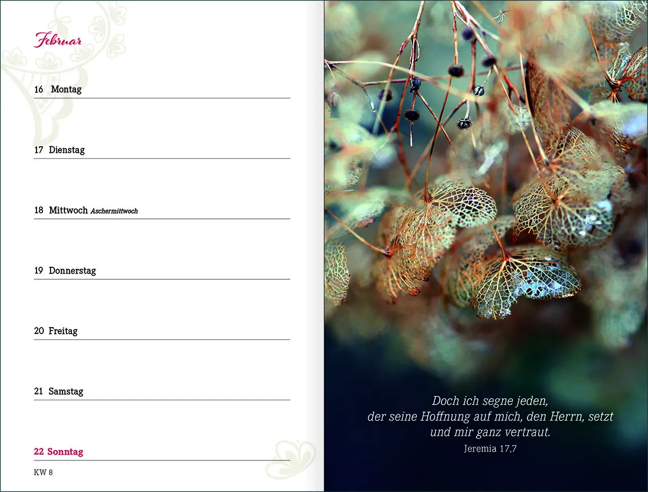 Bild: 9783754894361 | Augenblick 2026 | Bianka Bleier | Kalender | Mit Lesebändchen | 176 S.